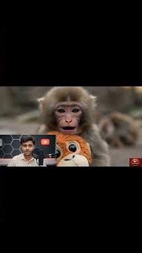 Punch money story|| japan punch money||