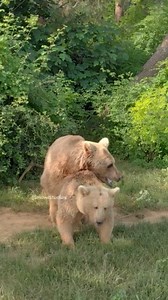 Early in the wild | Explore Earth