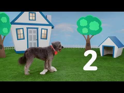 The Count's Counting Error-clip7