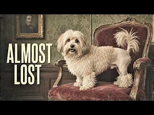 Löwchen - The Royal Lion Dog That Almost Vanished Forever (Full History Explained)