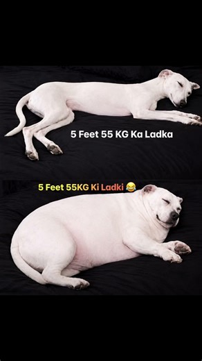 55KG hits different 😂#memes #meme #funny #shorts #viral