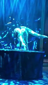 5.2K views · 193 reactions | My happy place:)) | Jordan McKnight Contortionist | Facebook