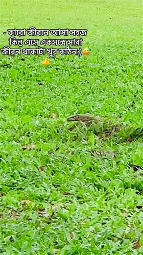 #reels #13million #trendingshorts #sad - কারো জীবনে আসা সহজ কিন্তু এসে একসঙ্গে সারা জীবন থাকাটা