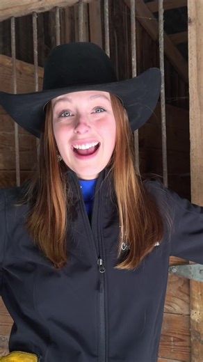 Get to Know Moose, Our Friendly Steer at the Ranch!