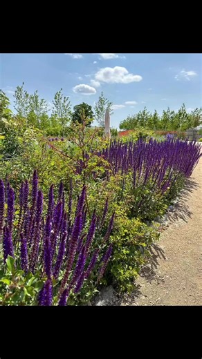 BUGA 23 Impressionen vom letzten Wochenende! #buga #bundesgartenschau #buga23 | WIR SIND GARTEN - Die Seite