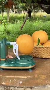 Simple and useful | FruitFun