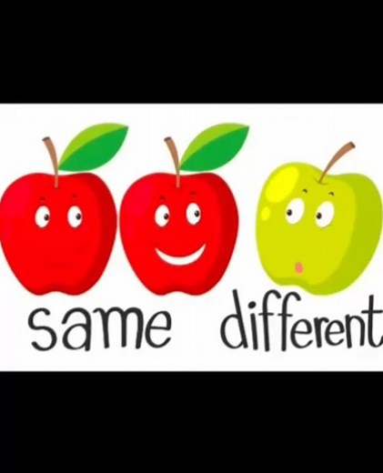 Same and Different Activity for Pre-Primary Kids | Fun Learning Activity | Preschool Education