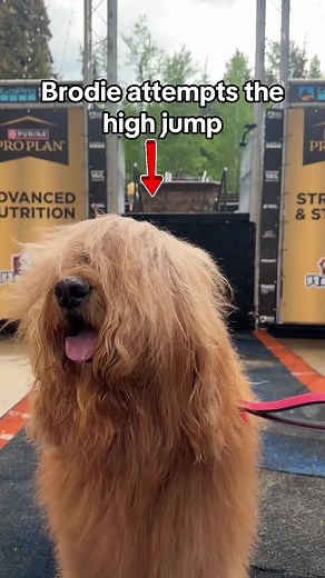 Brodie's High Jump Challenge at GoPro Mountain Games