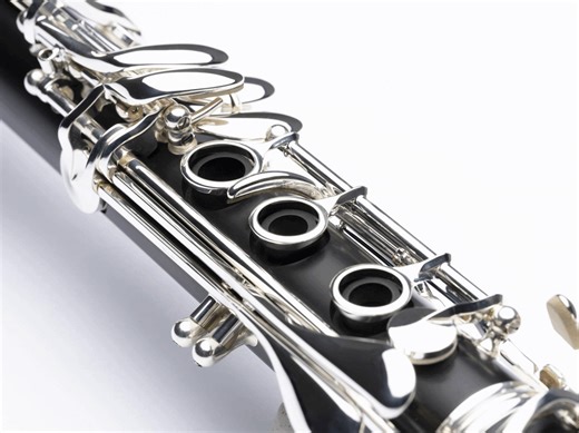 26K views · 386 reactions |  The R13 is one of Buffet Crampon’s...