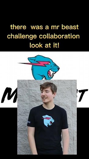 BFDI Scrapped collaboration with Mr. Beast!