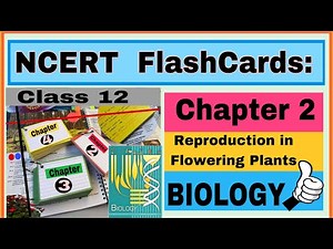 NCERT Flashcards ..Chapter 2/ Reproduction in Flowering Plants/ Class 12 / Biology / by Neerja