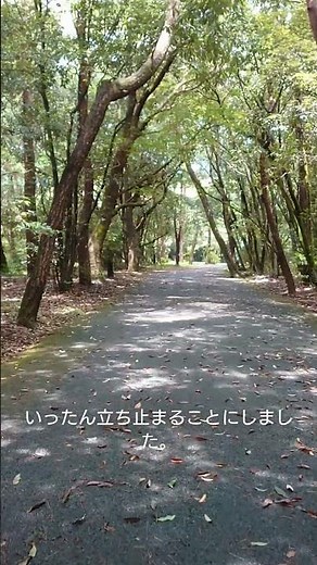 「何をやっても上手くいかない時」の過ごし方 #スピリチュアル #ハイヤーセルフ