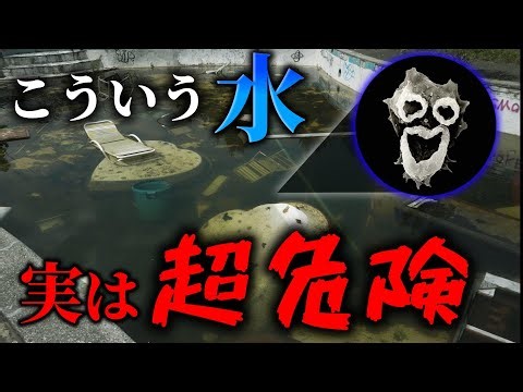 ほぼマコモ湯…少し前に海外のSNSで大きく話題になった危険な水「Stillwater（スティルウォーター）」について解説します【ずんだもん解説】