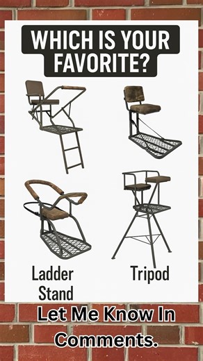 🌲 Tree stand Showdown: Which One’s Your Go-To? 🌲