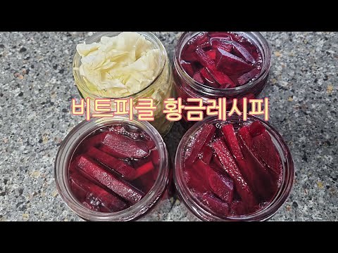 비트피클 만들기_피클 황금레시피 새콤달콤_비트요리/ 비트레시피