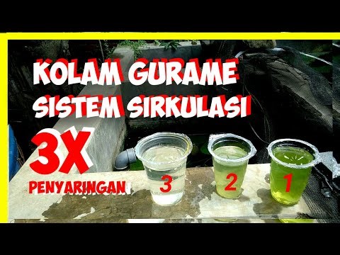kolam ikan gurame-sistem sirkulasi