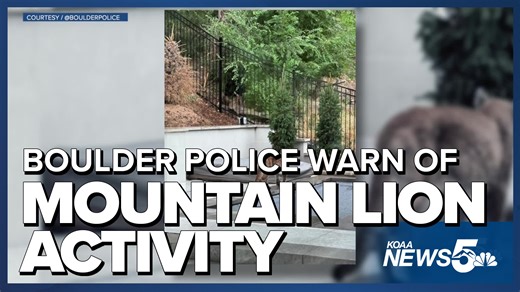 Boulder police warn of mountain lion activity after dog killed during walk