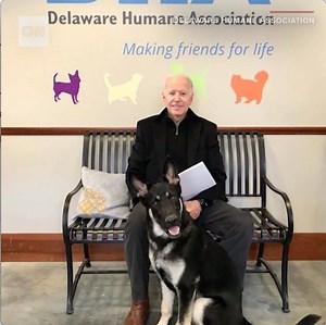 Meet Major Biden. Former Vice President Joe Biden has a new four-legged addition to his family: a German shepherd adopted from the Delaware Humane Association. https://cnn.it/2DIqzpH | CNN