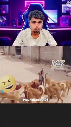 Funny 😁 try not to laugh 😆 Instagram funny reaction