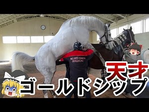 【ゆっくり解説】競走馬としても種牡馬としても活躍したゴールドシップ【ユーバーレーベン】