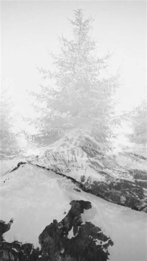 A premier residential community & club in Big Sky, Montana. Skiing, golf, & recreational discovery in the Montana wilderness. | Moonlight Basin