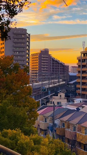 LOST IN TOKYO on Instagram: "秋の夕日に、新幹線と電車がすれ違っていく感じ。これぞ東京の空気だよね。 🚃🌅 📚Hi guys, I’ve been getting questions about this every day, so I decided to release an iPhone Video Shooting Quick-Start Guide (with optimal settings), and I’ll also be rolling out various video-optimized color-grading presets. Check the link in my bio #vibes #sunset #japan #tokyo #日本 #train #新幹線 #電車 #癒し動画 #日本の美 #foryou #viral"