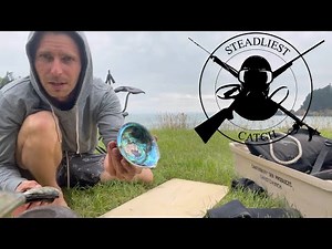 PAUA (Abalone) in KNEE DEEP WATER! | Diving NEW ZEALAND | Catch n Cook | Steadliest Catch | Ep.17