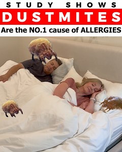 🇺🇸 Discover Why Americans Can't Get Enough of the UVO Lamp! Now 2024's Essential Health and Home Tool is Available for Up to 35% OFF! Act Fast—Limited Stock Available! | Uvlizer UVC