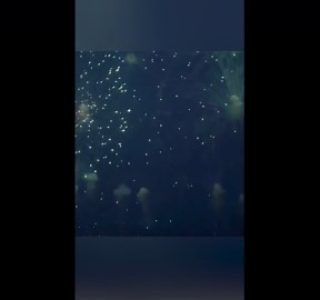 Stunning fireworks show over nation's capitol closes out Trump military parade