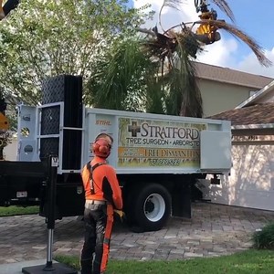 2.1M views · 598 shares | We couldn't think of a more appropriate video to announce the first day of winter. : @stratfordladyarborist on IG | Altec Inc. | Facebook