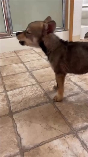 10K views · 3.3K reactions | Out of no where but that’s exactly how...