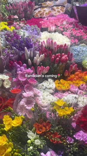 ‏#foryou #شعب_الصيني_ماله_حل😂😂 #fypシ #ramadan