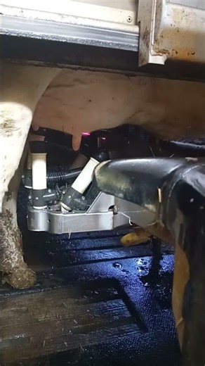 Fullwood JOZ Merlin M2 Milking #robot e#rik lallerstedt50K+# #searchess#karaborgs# #allehanda2K#tag