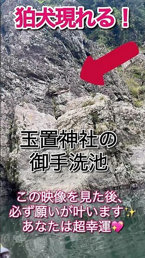 Awesome episode ⚠️ If you miss it, you'll never get another chance! "Mitarai Pond at Tamaki Shrin...