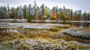 'A lot to celebrate': July designated as Michigan Wildlife Conservation month