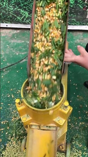 corn stalk cutter machine and feed pellet making machine #farming #machine