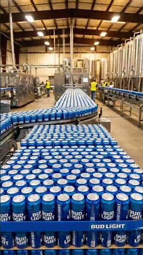 What Really Happens Inside a Beer Factory?