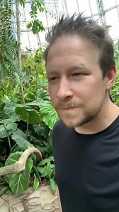 18 reactions · 6 comments | It was fate.  Today… We finally got to smell our very first Corpse Flower aka Amorphophallus Titanum.  Our girl Meg is in her very first bloom at Houston Museum of Natural Science and showed up just as beautiful and stinky as ever. Hurry in because she only stays in bloom for a very short period, like a couple of days… and then it’s up to her when she’ll bloom again. | 93Q Houston | Facebook
