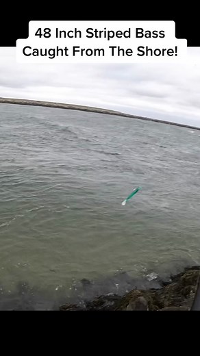 This big striper gave me a hell of a fight in an area I don’t usually fish at #capecodcanal #shorefishing #bigfish #bass #bigbass #stripers #stripedbass #striper #surfcasting #fisherman #fishingvideos