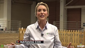 It's "The Greatest Show on Dirt!" It's the 2025 Indiana 4-H Grand Drive—Presented by Farm Credit Mid-America—from the 168th Indiana State Fair! Check out the interviews—and tears of joy—from our 2025 Grand Champion 4-H exhibitors! | Hoosier Ag Today