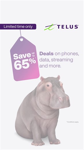 Get HUGE savings you can’t miss on the latest phones, data plans, all your tech needs and more. Shop now. | TELUS