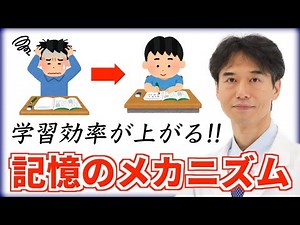 【記憶のメカニズム】暗記・理解・整理のプロセスを理解すれば学習効率が劇的に上がります。