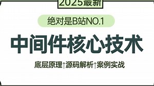 【2025最新】B站讲的最好的Java主流中间件教程（中间件原理源码 中间件架构实战）一套全解决！拿走不谢，允许白嫖！
