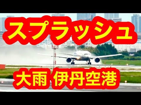 🟢綺麗 #スプラッシュ 大雨！🔴伊丹空港ライブ🔴静かに配信🟢朝ライブ伊丹空港🔴Osaka Itami Airport🟢Itami Airport🔴大阪伊丹空港ライブ🟢伊丹空港ライブ🟢空港ライブ