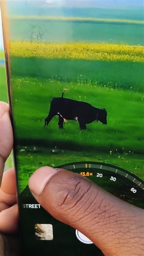 Nitish Kashyap on Instagram: "Real me 12 Pro Plus zoom 120K10K"