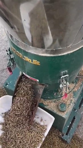 Incredible sweet corn transform in small pellets