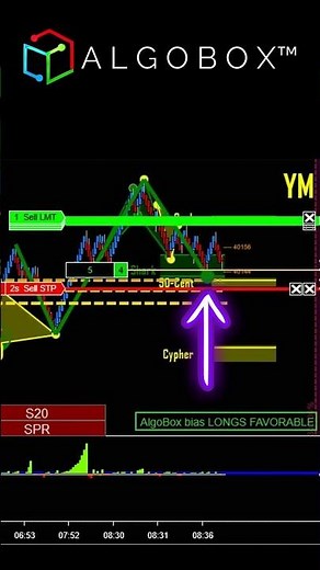EXPLAINED: The HMD Day Trading Strategy 🟣 NinjaTrader | AlgoBox Training