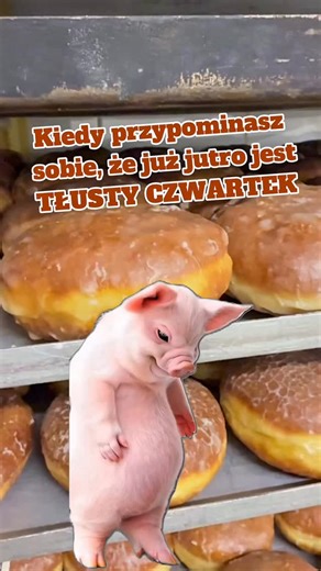 Paweł Radzikowski on Instagram: "Przyjdź po na NAJLEPSZE pączki w Polsce W godzinach: 🕕6:00 - 18:00🕕 Warszawa⤵️ Aleja Chruściela 11a 📱22 611 98 95 Ul. Zamieniecka 78 (obok bazaru Szembeka), Warszawa 📱22 610 47 47 Ul. Egipska 4, Warszawa 📱22 672 02 41 Ul. Mazowiecka 81, Osowiec - niestety póki co nieczynne😞 #pączki #tłustyczwartek #ciasto #wypieki #ciastko"