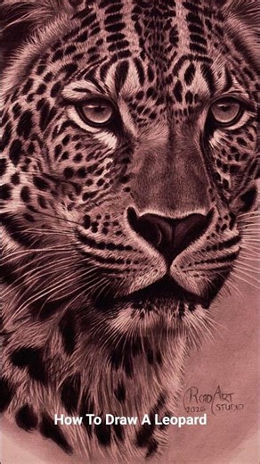 Easy Leopard Drawing