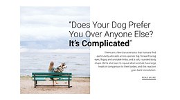 dog and owner relationship - CSS Template by Nicepage